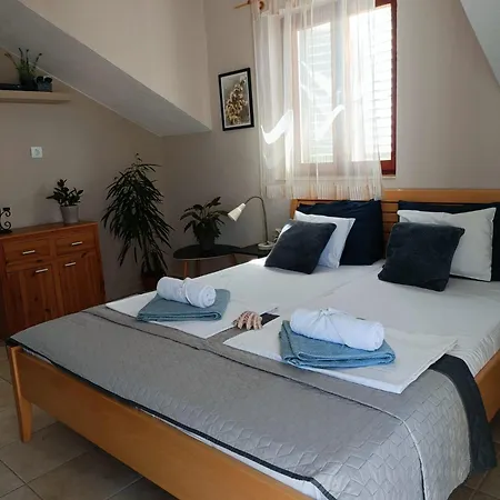 Agava سوتيفان